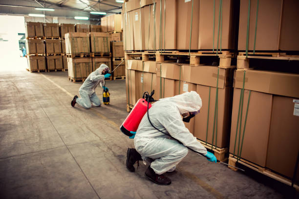 Best Best Pest Control Near Me  in Farmington, IL