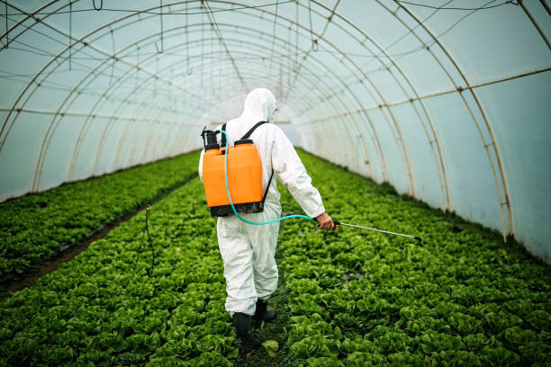 Best Affordable Pest Control Services  in Farmington, IL
