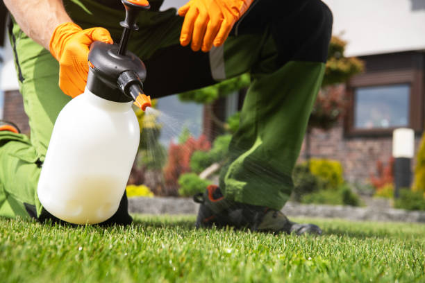 Best Pest Prevention Services  in Farmington, IL