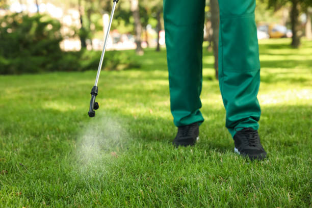 Best Emergency Pest Control  in Farmington, IL