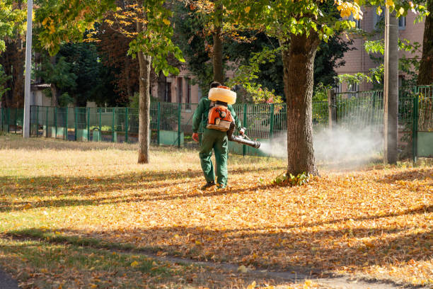 Best Best Pest Control Companies  in Farmington, IL