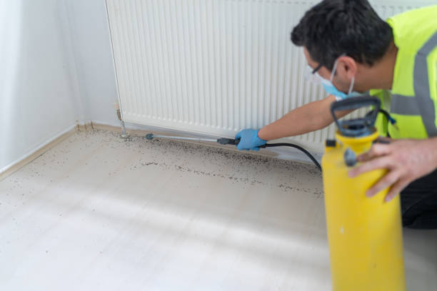 Best Affordable Pest Control Services  in Farmington, IL