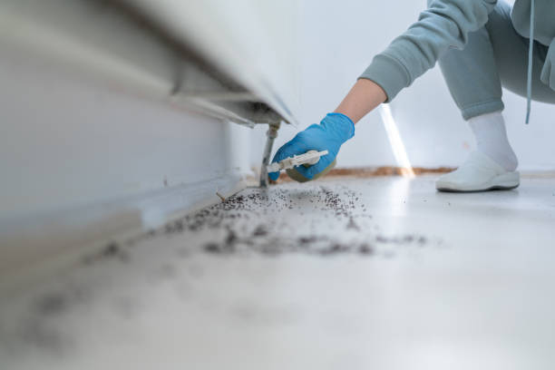 Best Residential Pest Control  in Farmington, IL